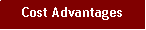 Text Box: Cost Advantages